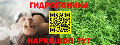 прущие крисы Гудермес