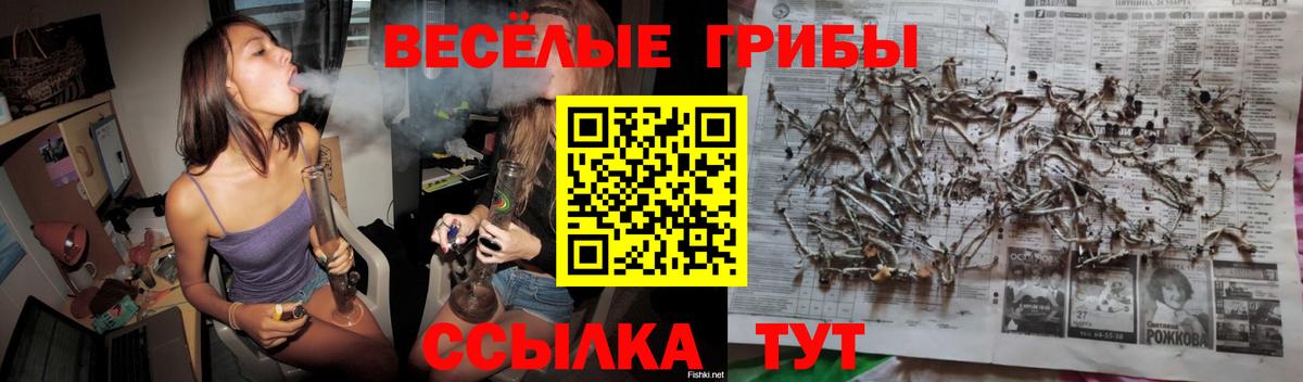 Галлюциногенные грибы Magic Shrooms  Вход с VPN  Гулькевичи  Псилоцибиновые грибы ЛСД 